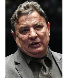 Zezé Perrella