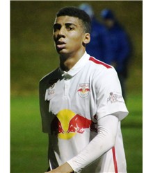 Bernardo Fernandes da Silva Junior Bernardo Fernandes da Silva Junior