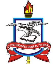 Universidade Federal do Pará