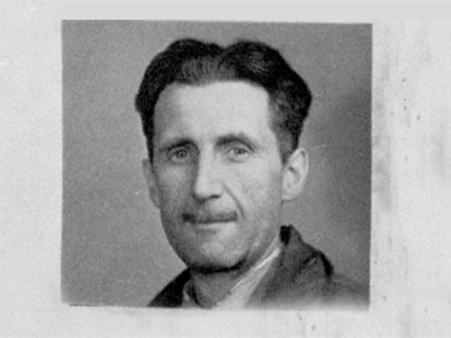 Baú migalheiro