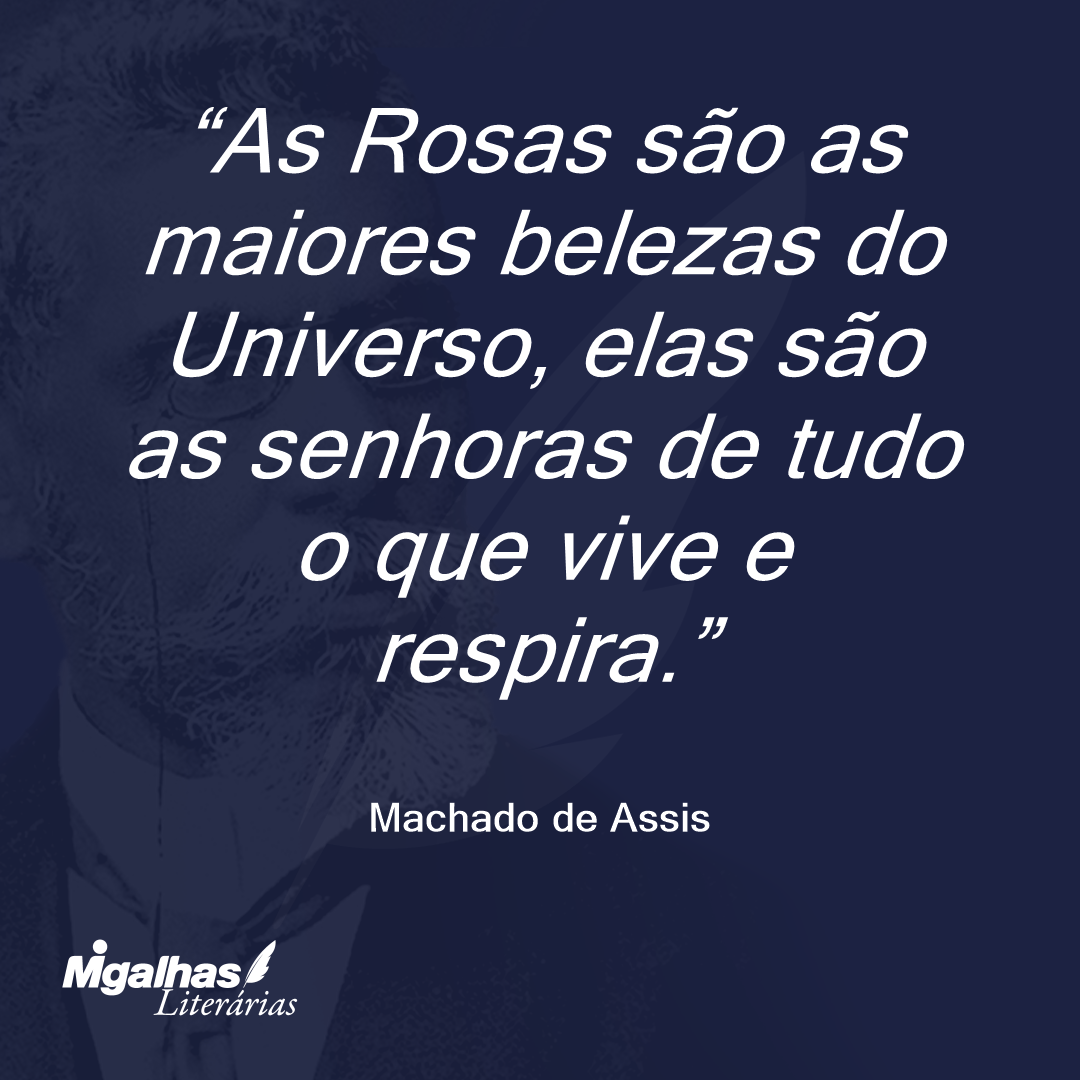 As Rosas são as maiores belezas do Universo, elas são as senhoras de tudo o que vive e respira.