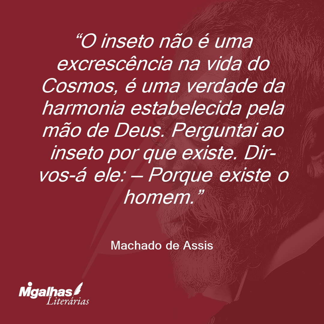 O inseto não é uma excrescência na vida do Cosmos, é uma verdade da harmonia estabelecida pela mão de Deus. Perguntai ao inseto por que existe. Dir-vos-á ele: - Porque existe o homem.