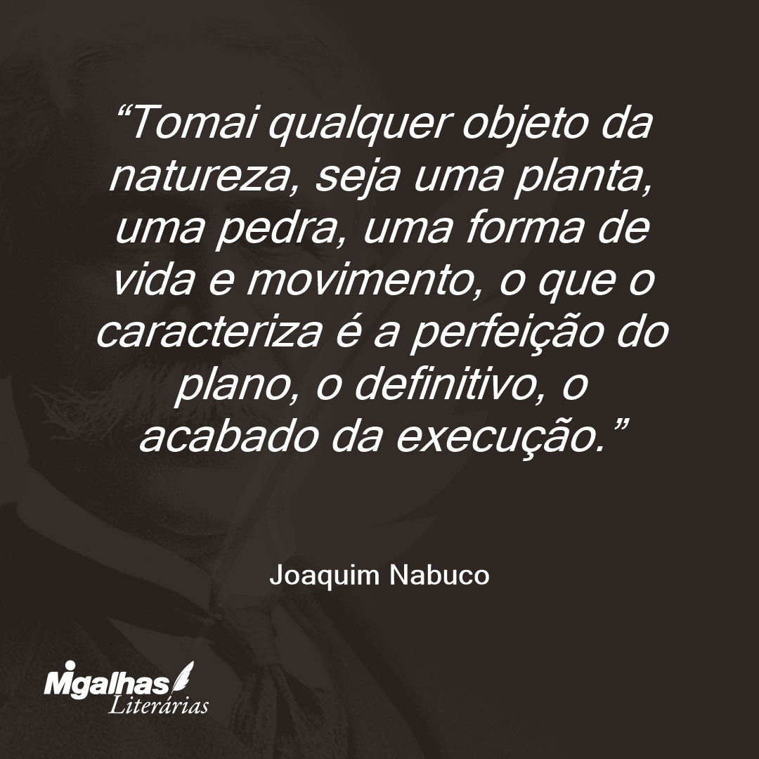Tomai qualquer objeto da natureza, seja uma planta, uma pedra, uma forma de vida e movimento, o que o caracteriza é a perfeição do plano, o definitivo, o acabado da execução. 