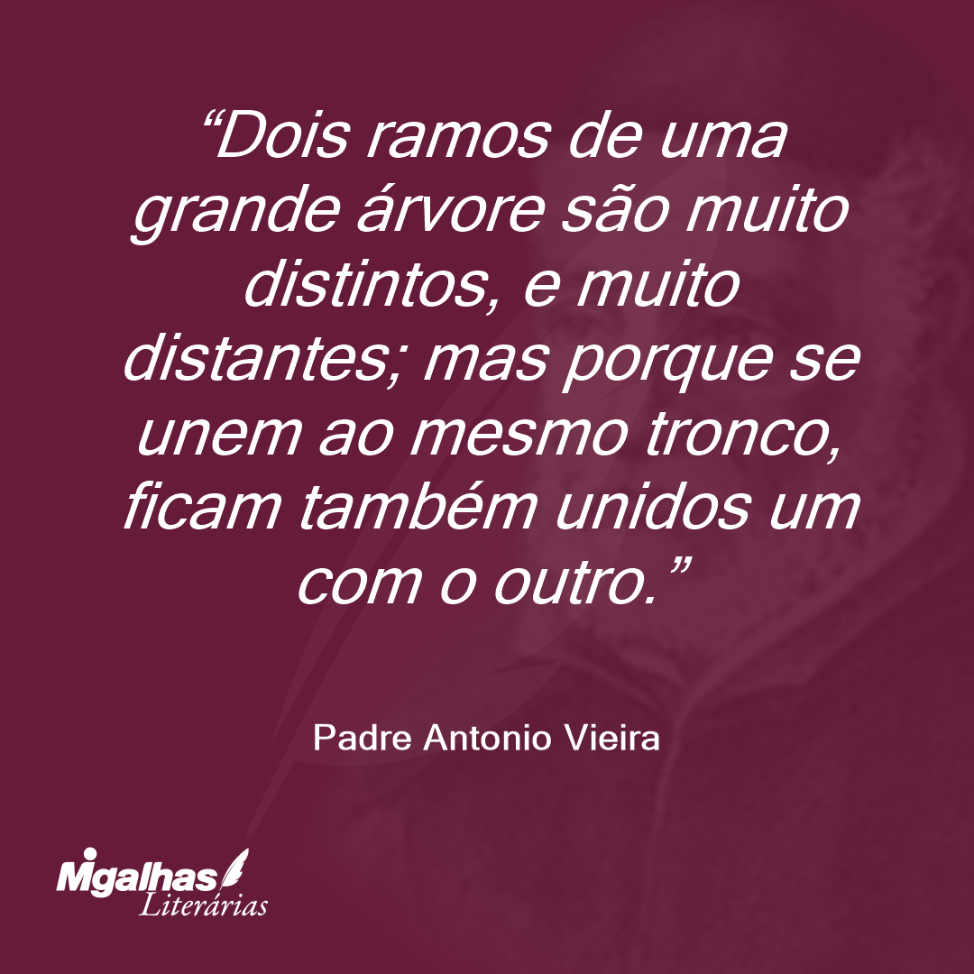 Dois ramos de uma grande árvore são muito distintos, e muito distantes; mas porque se unem ao mesmo tronco, ficam também unidos um com o outro.