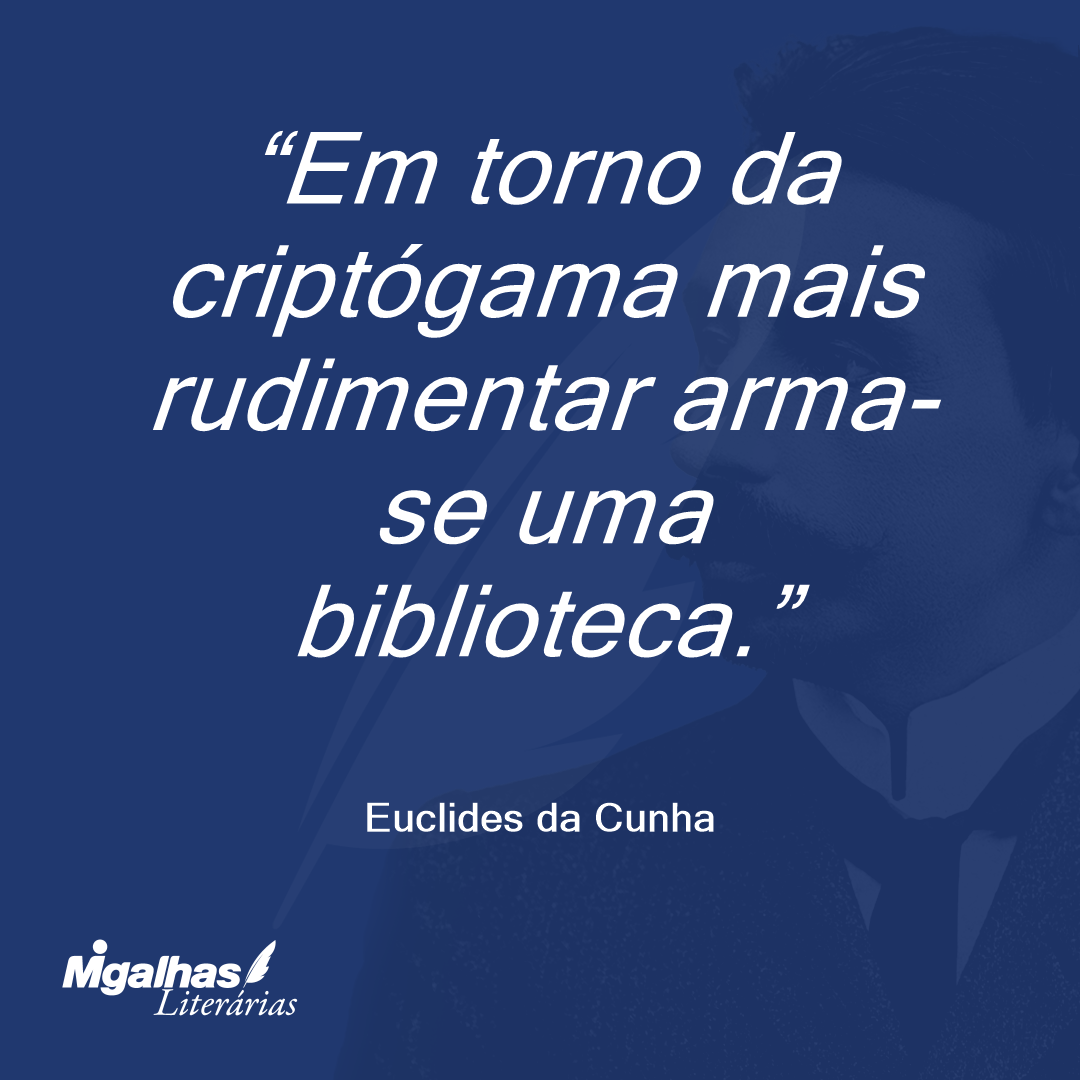 Em torno da criptógama mais rudimentar arma-se uma biblioteca.