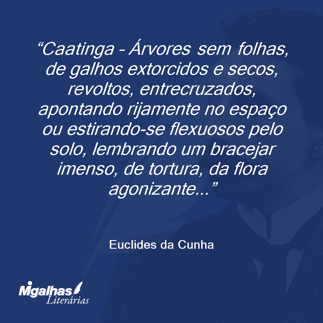 Caatinga - Árvores sem folhas, de galhos extorcidos e secos, revoltos, entrecruzados, apontando rijamente no espaço ou estirando-se flexuosos pelo solo, lembrando um bracejar imenso, de tortura, da flora agonizante...