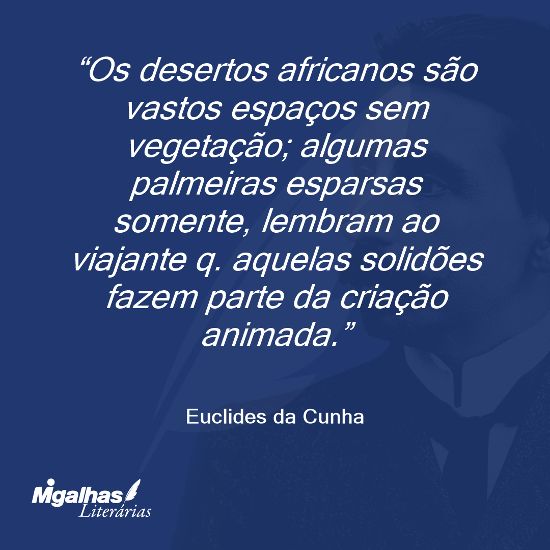 Os desertos africanos são vastos espaços sem vegetação; algumas palmeiras esparsas somente, lembram ao viajante q. aquelas solidões fazem parte da criação animada.